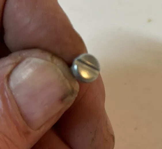 1955 - 1958 Cameo Taillamp Bezel Screw Set for Chevy GMC Truck 4 Screws